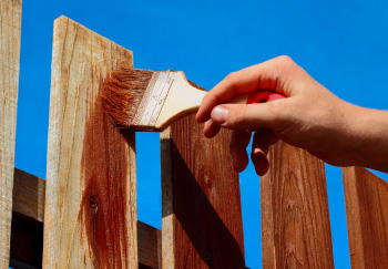 Fence Painting 